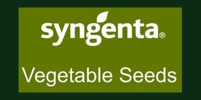 Syngenta Vegetable Seeds