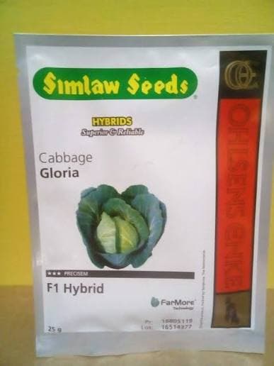 GLORIA F1 - 50gm